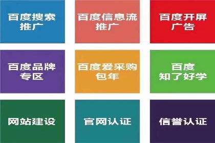 竞价推广公司案例：揭秘成功背后的秘密